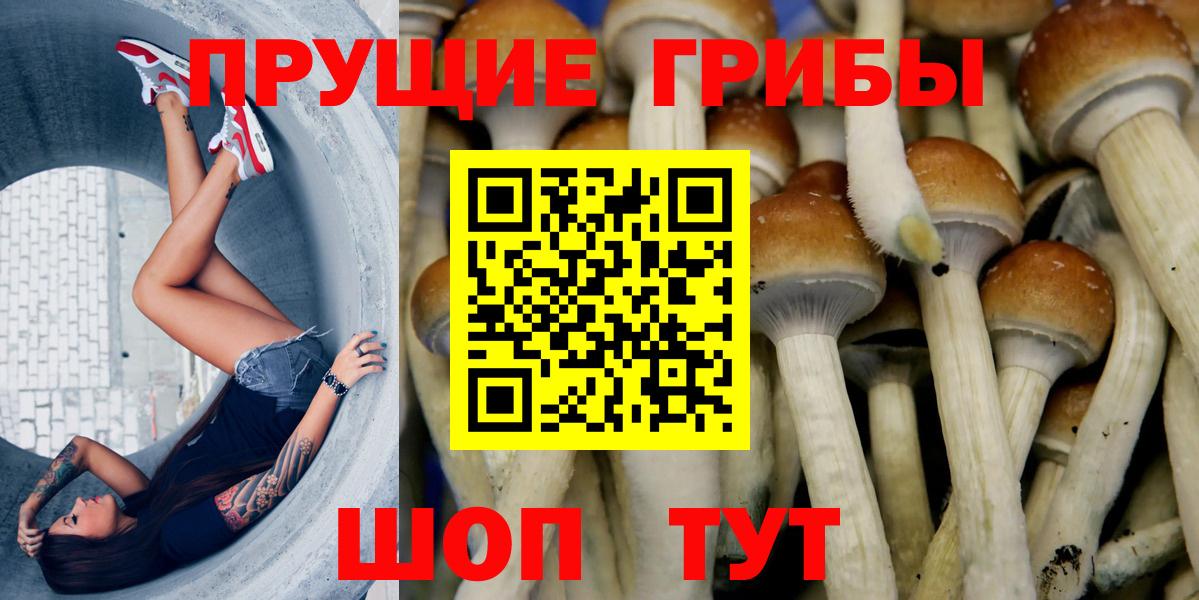 Псилоцибиновые грибы прущие грибы Кудрово